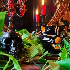 SOURPUSS ANATOMICAL SKULL CANDLE BLACK