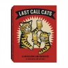 None LAST CALL CATS NOTECARDS Homewares