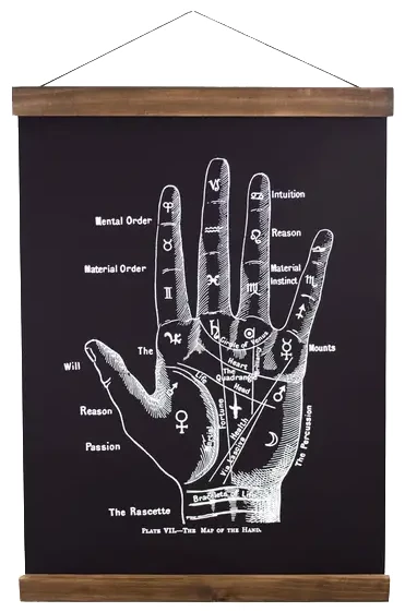 Homewares CURIOUS PRINTS VINTAGE PALMISTRY CHART CANVAS WALL HANGING PRINT 3 Homewares CURIOUS PRINTS VINTAGE PALMISTRY CHART CANVAS WALL HANGING PRINT