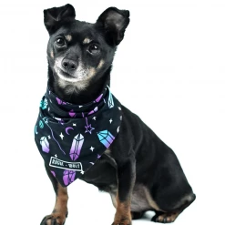 ROGUE + WOLF I PAWED A SPELL ON YOU PET BANDANA