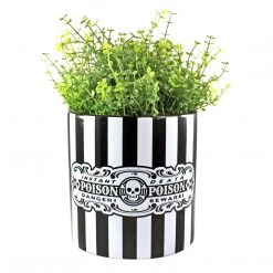 SOURPUSS POISON PLANT CONTAINER