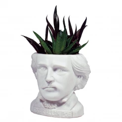None EDGAR ALLAN POE PLANTER Back In Stock