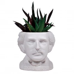 None EDGAR ALLAN POE PLANTER Back In Stock