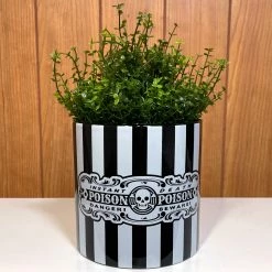 SOURPUSS POISON PLANT CONTAINER