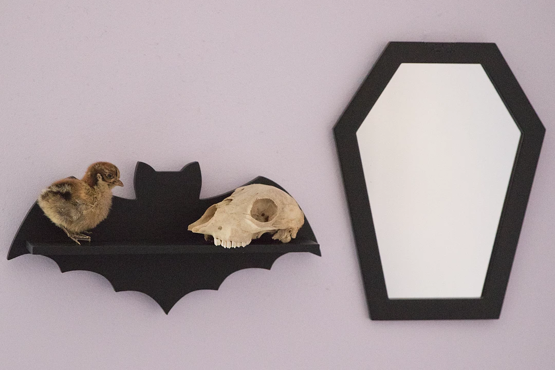 SOURPUSS BAT SHELF BLACK 4 SOURPUSS BAT SHELF BLACK