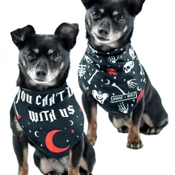 ROGUE + WOLF YOU CAN'T DIG WITH US PET BANDANA